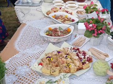Porozmawiajmy w Łódzkiem i Piknik Rodzinny w Boguszycach, gm. Rawa Mazowiecka., <p>S.Pytliński</p>